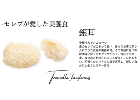 オーガニックUSDA/EU BCS認証 白キクラゲ【銀耳】25g