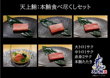 【全部位入った定番品】　　　天上鮪セット：アイルランド沖 本鮪食べ尽くし