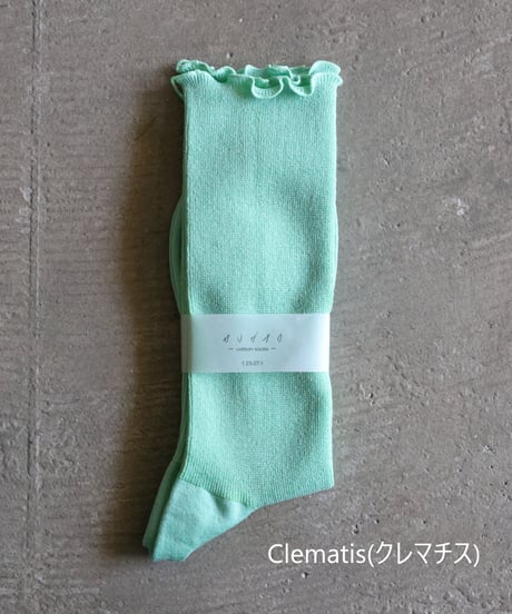 サリゲナク / Too Medical reversible cotton socks