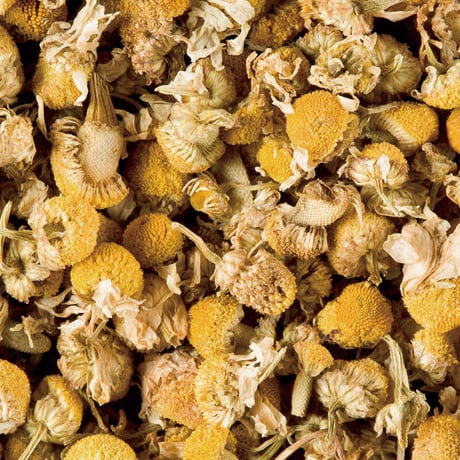 【SUMMER SALE】訳アリお買い得品 計量茶葉50ｇ×1袋