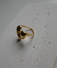 Dual Drop Ring