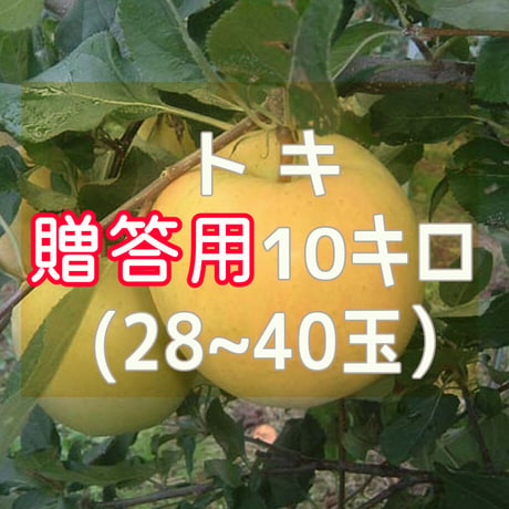 贈答用「サントキ」10kg