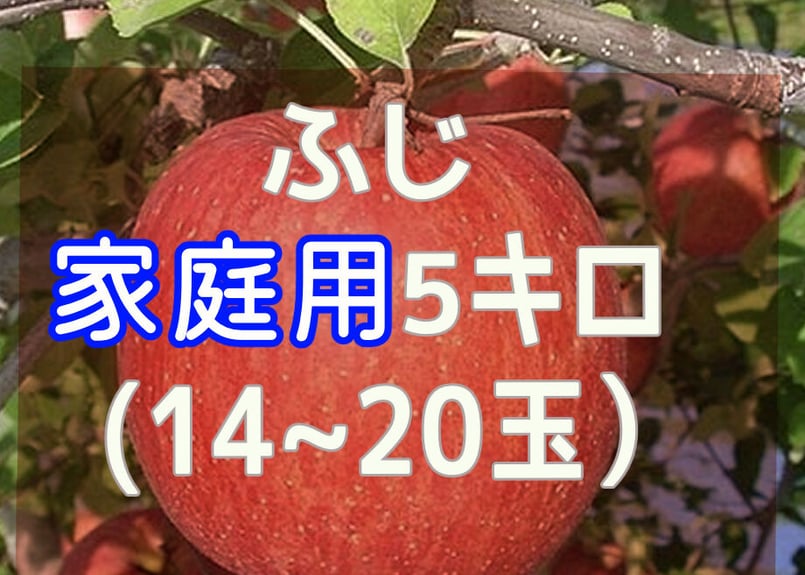 家庭用「サンふじ」５kg | ヤマゴン佐藤謙治農園