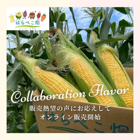 まるごとトウモロコシ～人生変わるはらぺこ畑～