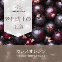 カシスオレンジ～あなたの不機嫌が私を苦しめる～
