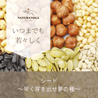 シード～早く芽を出せ夢の種～