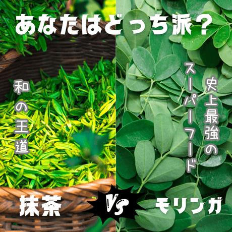 【送料無料】あなたはどっち派？モリンガVS抹茶