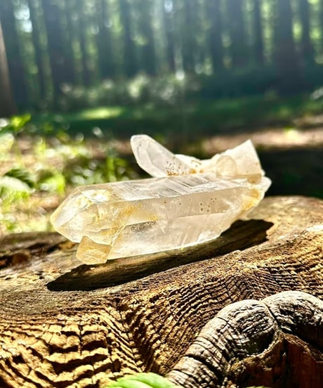 ヒマラヤ水晶クラスター（一点物）
