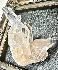 菊花水晶クラスター（一点物） | UNITY