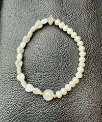 High Quality Pearl × High Quality shell