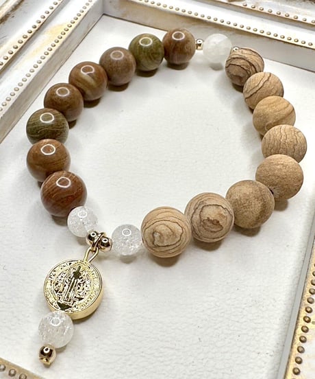 Rainbow Jasper × Petrified Wood Jasper