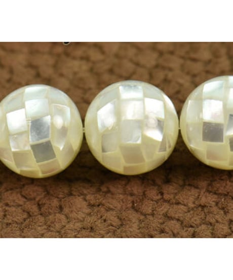 Mosaic shell × Mother Of Pearl