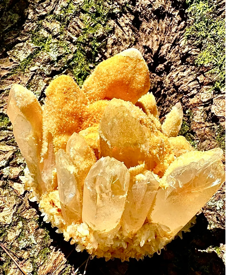 イエロークオーツ （一点物） | UNITY