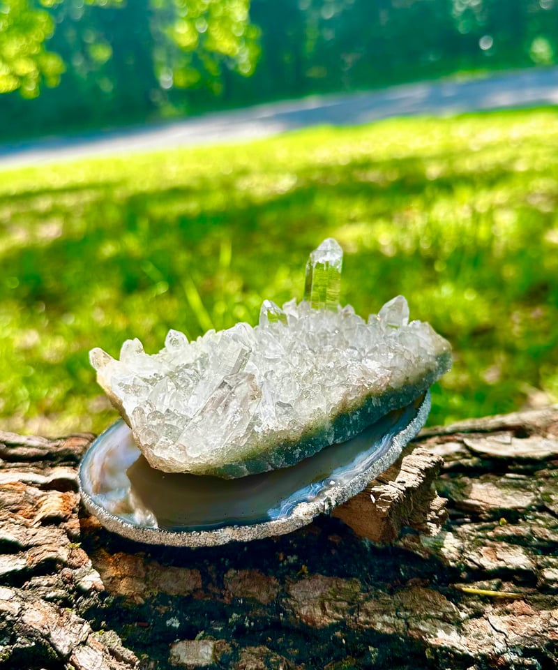 ヒマラヤ水晶クラスター（一点物） | UNITY