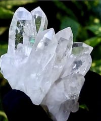 ヒマラヤ水晶クラスター⑦  （一点物）