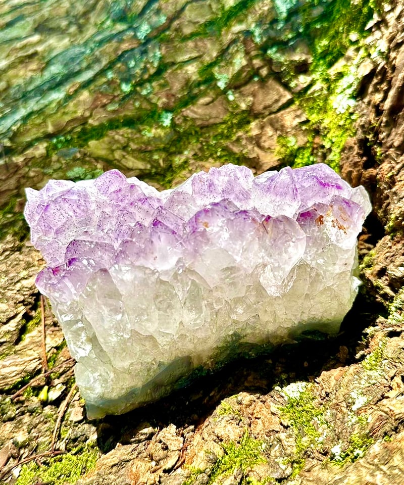 アメジスト クラスター 原石 パワーストーン 天然石 一点物 アメジスト クラスター 原石 パワーストーン 天然石 一点物 楽天