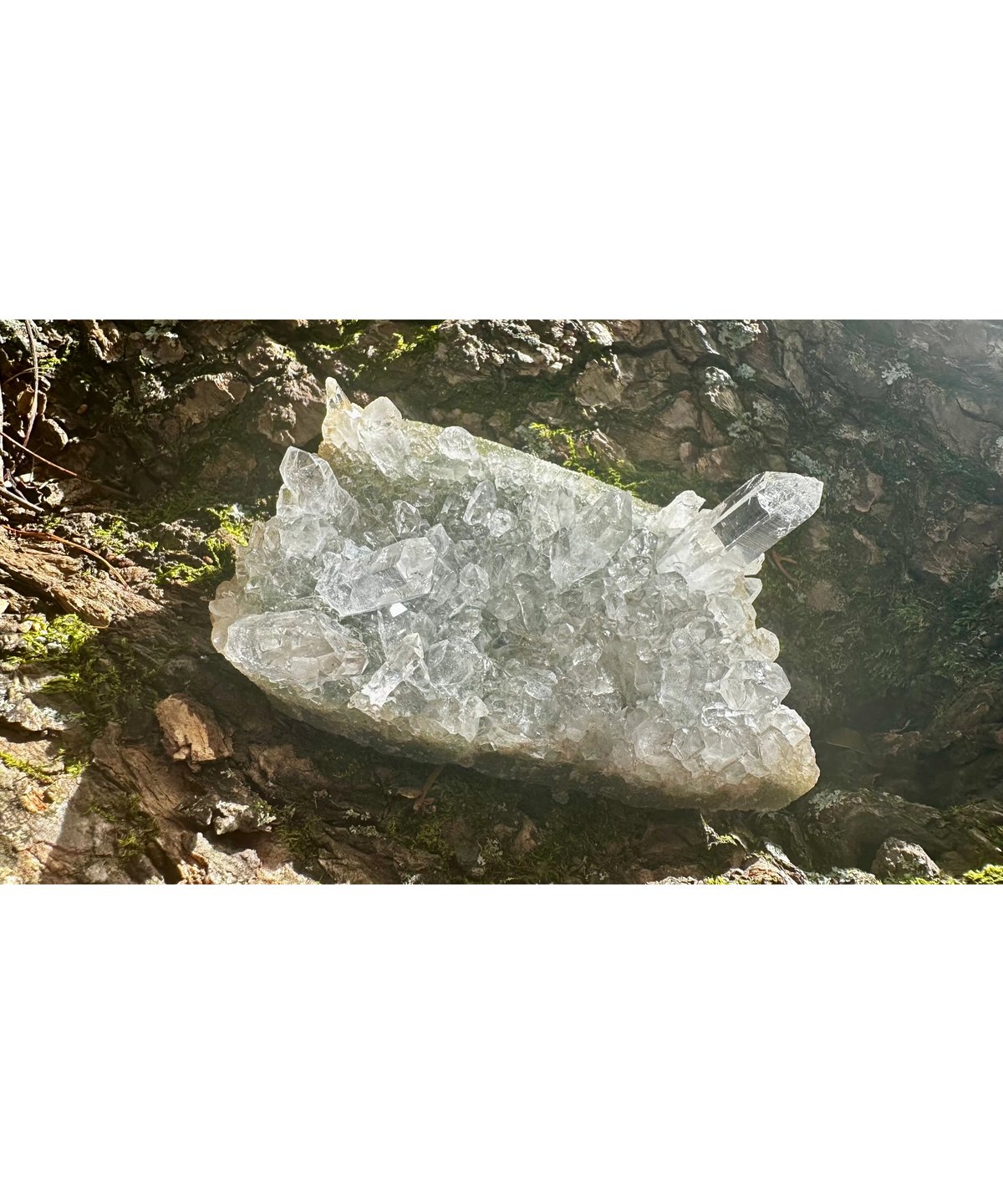 ヒマラヤ水晶クラスター（一点物） | UNITY
