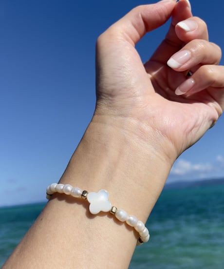 freshwater pearl（shell）