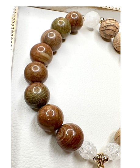 Rainbow Jasper × Petrified Wood Jasper