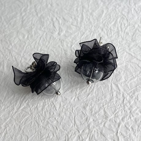 ブラックスワン