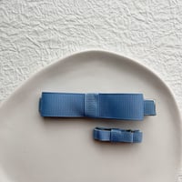 スカイブルークリップセット