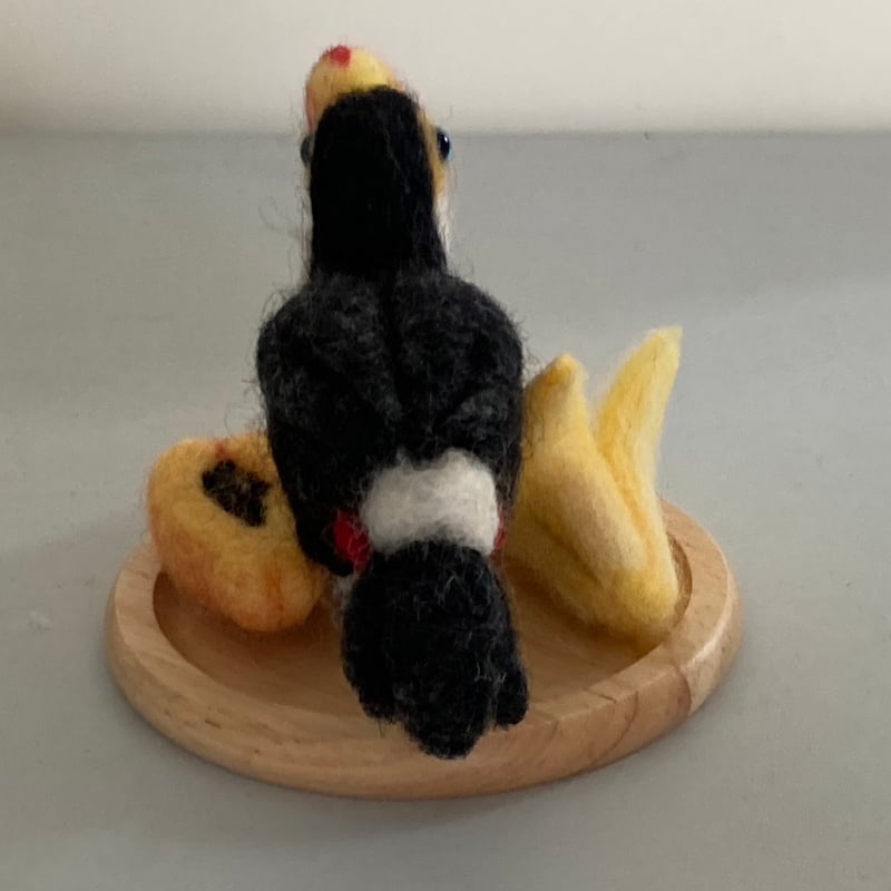 オニオオハシフルーツセット（商品番号：J77-022） | chicoowa.com