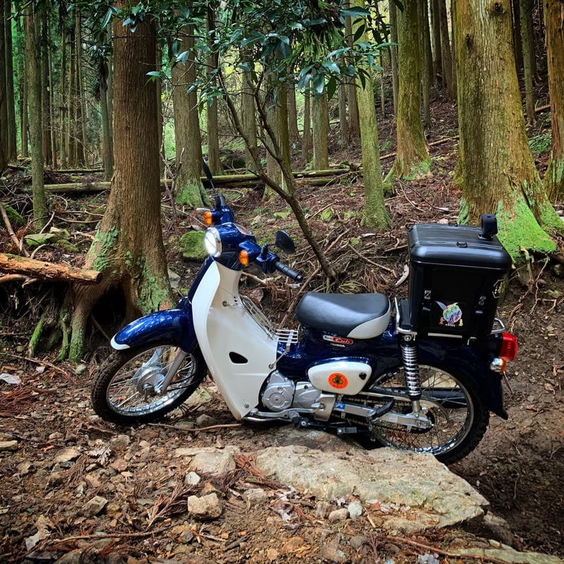 HONDA SUPER CUB 110 JA44 / ﾎﾝﾀﾞ ｽｰﾊﾟｰｶﾌﾞ 110