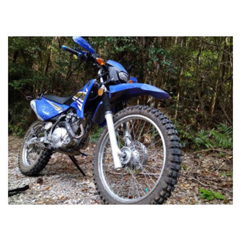 YAMAHA XTZ125 / ﾔﾏﾊ XTZ125 | 林道六級