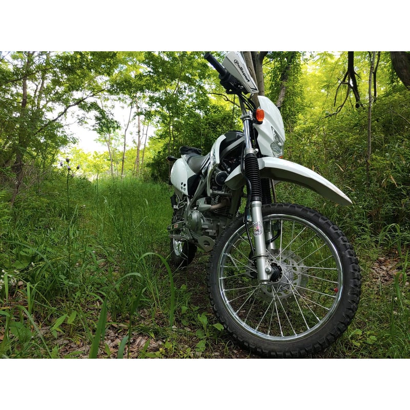 Kawasaki KLX125 / ｶﾜｻｷ KLX125 | 林道六級