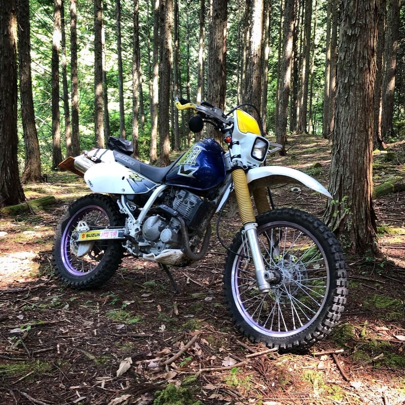 SUZUKI DJEBEL250XC / ｽｽﾞｷ ｼﾞｪﾍﾞﾙ250XC | 林道六級