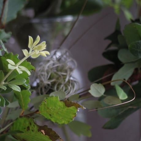 季節の切り花セット　定期便