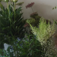 【6/5 23:59〆切】週末の花束たち by yamagata