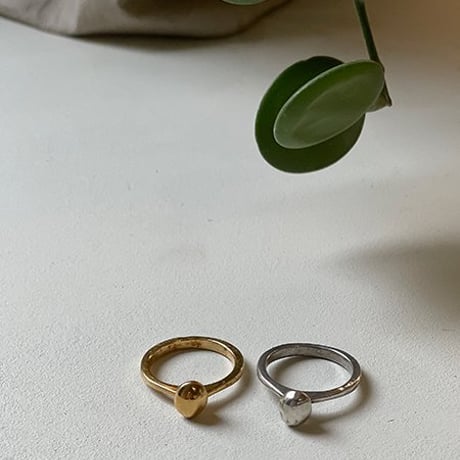 南仏プロヴァンス | STORES