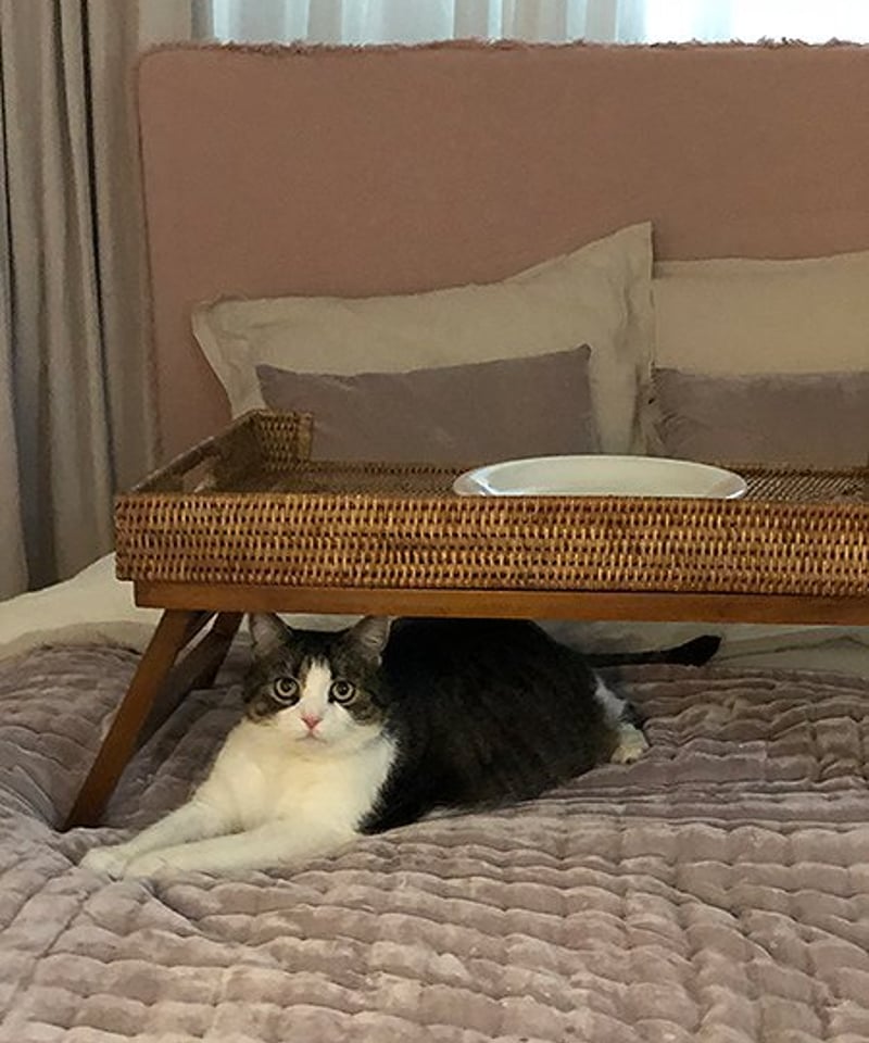 ホテル仕様のラタン、ブレックファーストテーブル | els nakanoshima