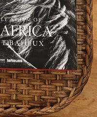 ホテル仕様のラタン、インドシナチェストテーブル、ミディアムサイズ