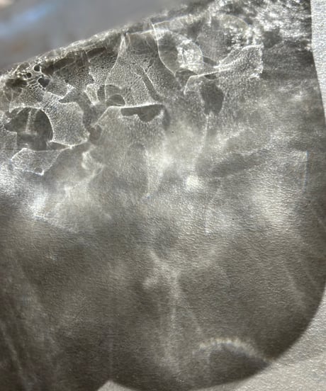 麹谷宏　ガラス平皿  クリア金銀