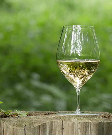 麹谷宏トラベルグラス　kojitani travelwineglass
