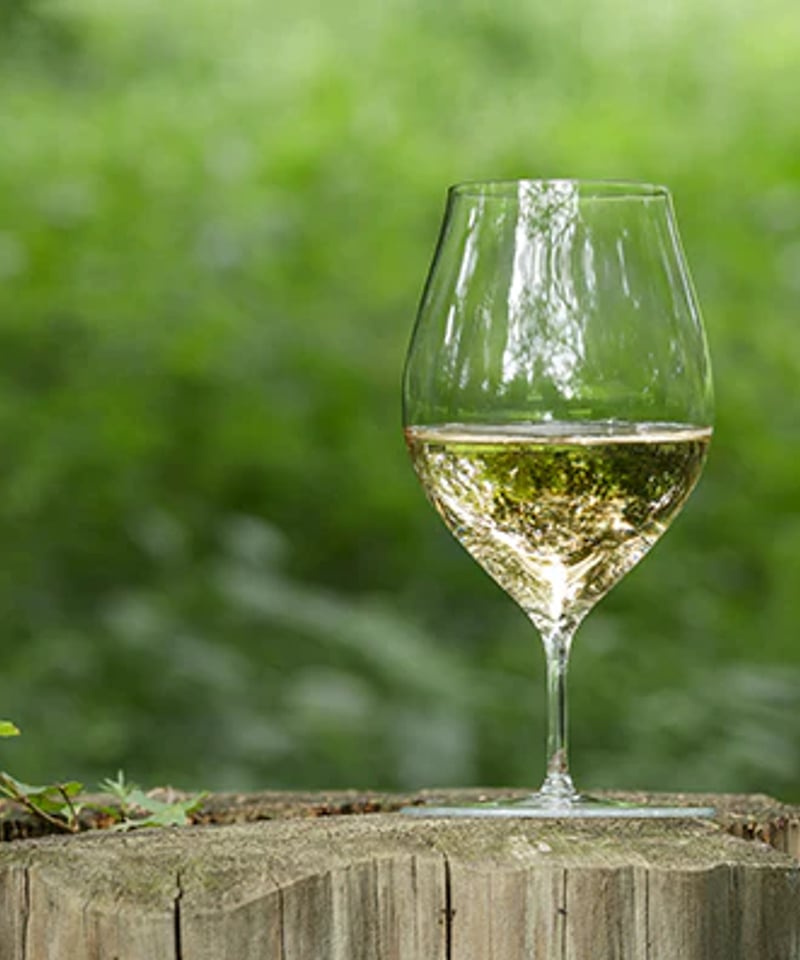 麹谷宏トラベルグラス kojitani travelwineglass | els nakan