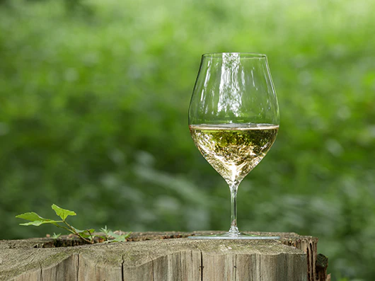 麹谷宏トラベルグラス kojitani travelwineglass | els nakan