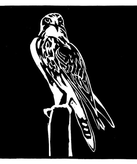 ローラン・ルトゥルミー　版画　ハヤブサ