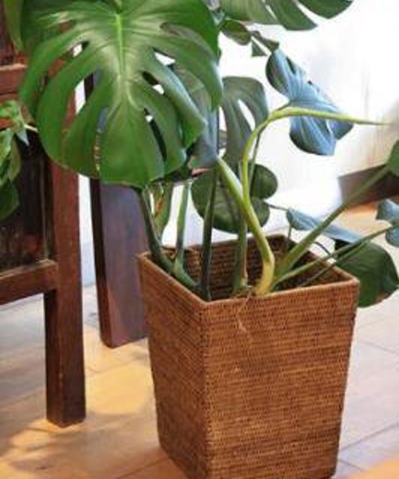 WMF コンセプトバスケット　21センチ　ホテルライク　ホテルスタイル　パンカゴ WMF コンセプトバスケット 21センチ ホテルライク ホテル