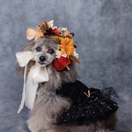 FOR DOG 花冠WORKSHOP