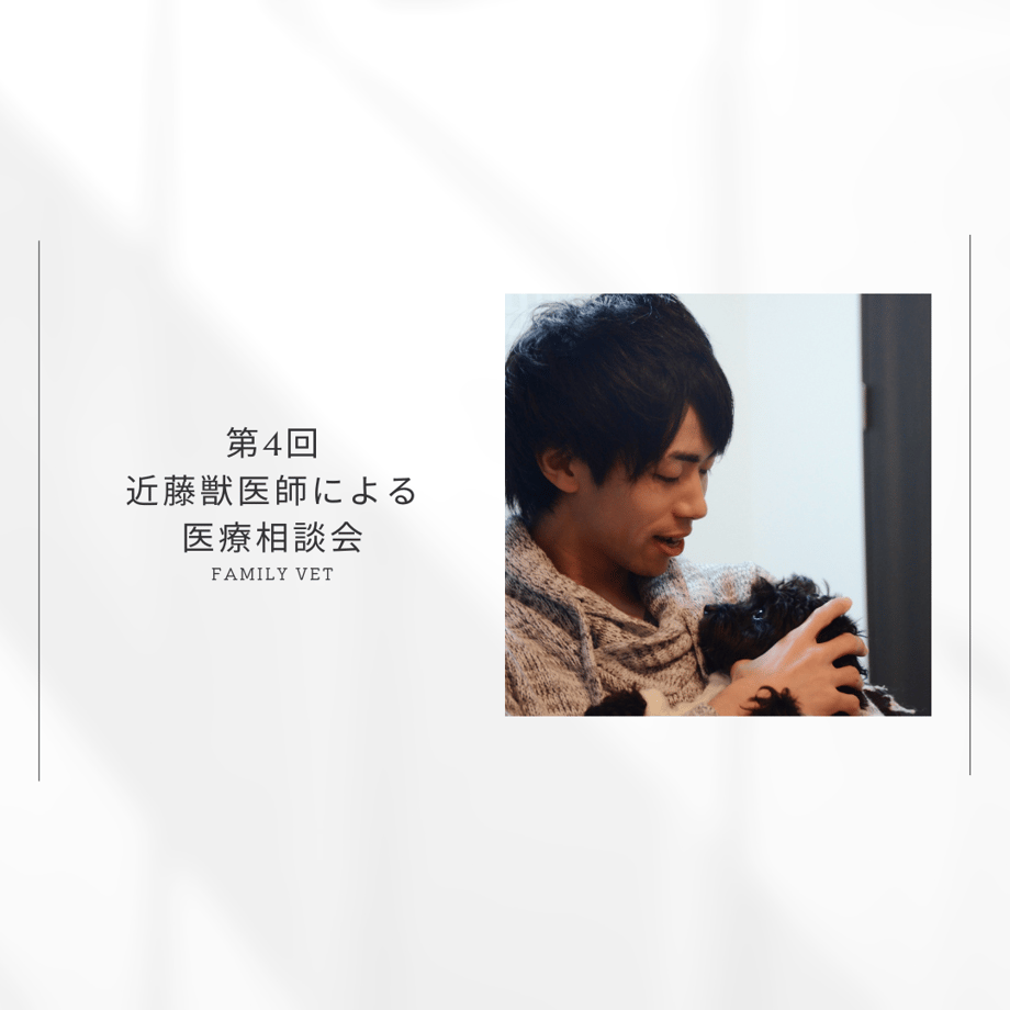 65446efae70d9712c90b5e96