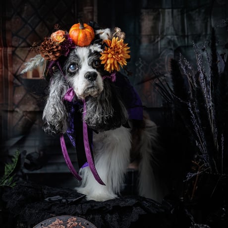 FOR DOG 花冠WORKSHOP