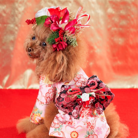FOR DOG 花冠WORKSHOP