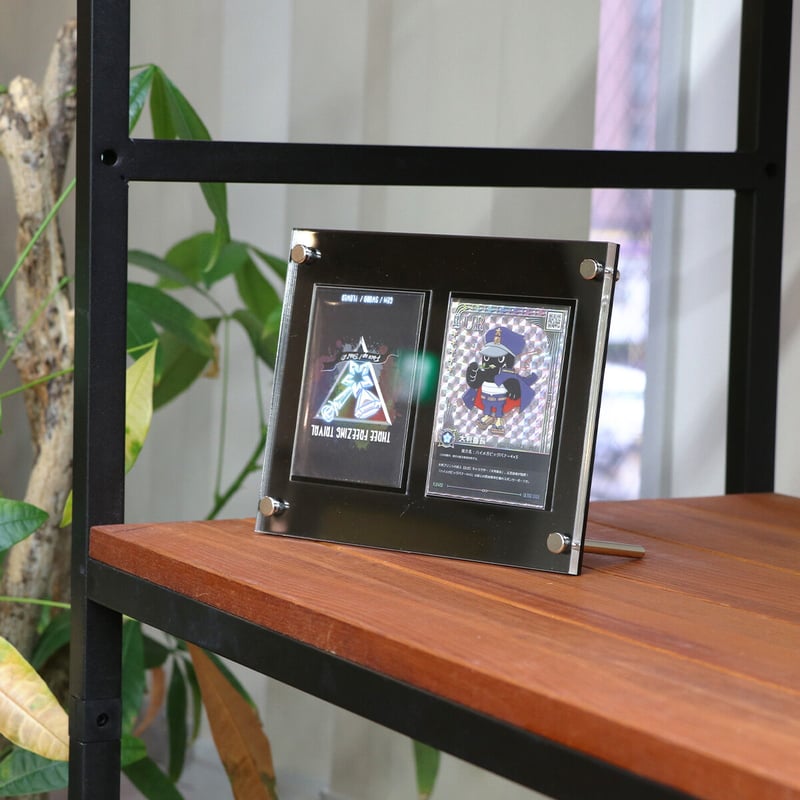 トレカディスプレイ】シールドPRO2連タイプ オーロラ | 推し活