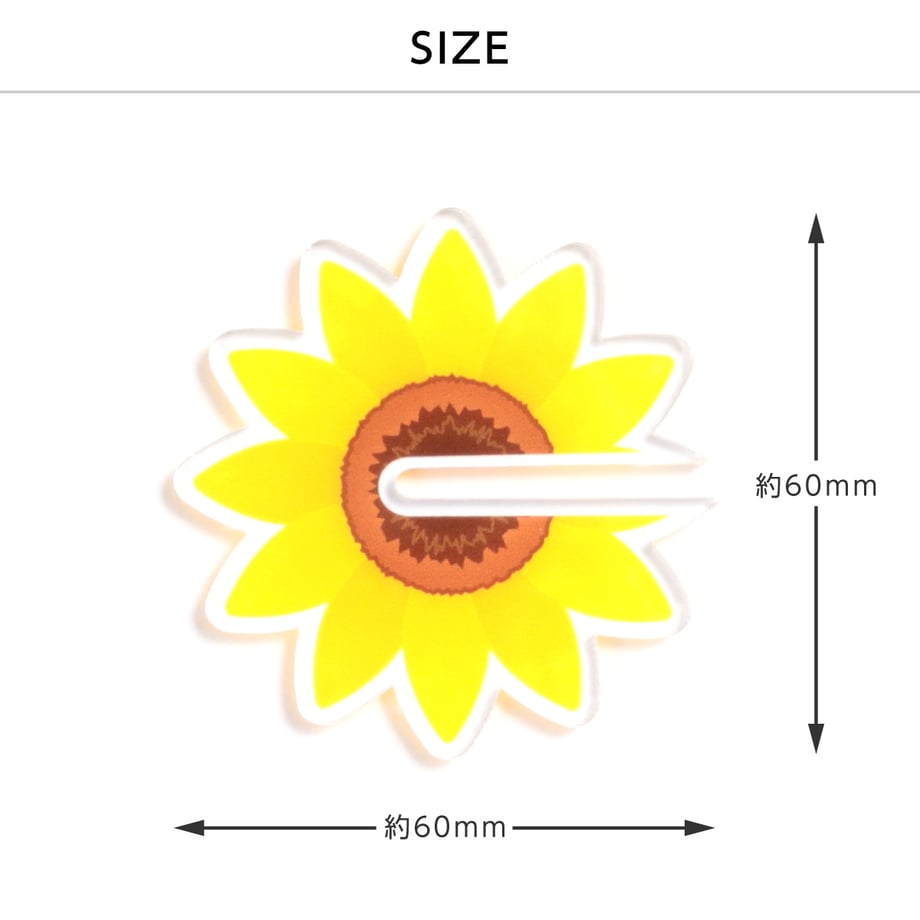 6a05819eae8e9e500cf527e4
