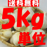 不揃いにんにく5㎏単位≪予約商品７月より発送！≫(送料無料※沖縄・離島を除く)