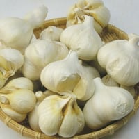 不揃いにんにく（お一人様3㎏まで）