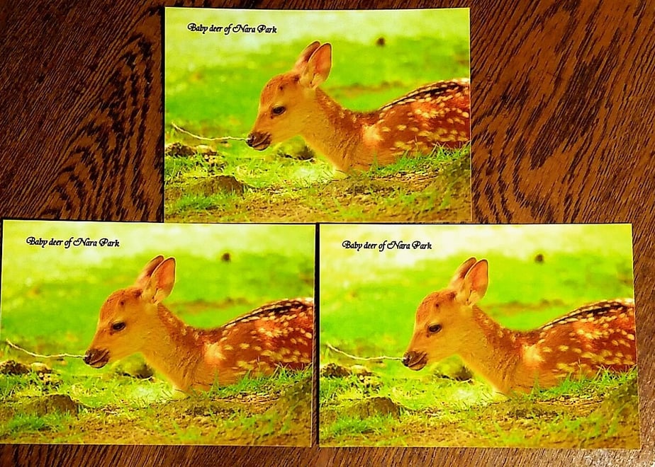 62590819d218bc4eda9f9b4d